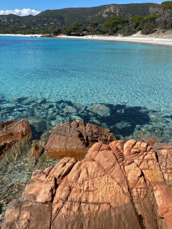 Palombaggia Location I Pini Porto Vecchio Hotell Eksteriør bilde