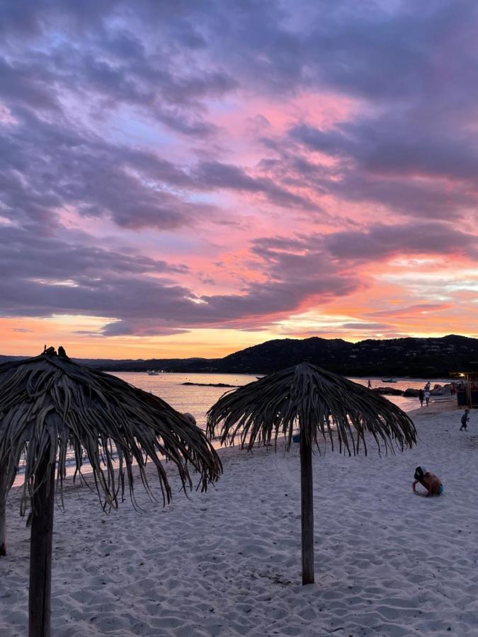 Palombaggia Location I Pini Porto Vecchio Hotell Eksteriør bilde